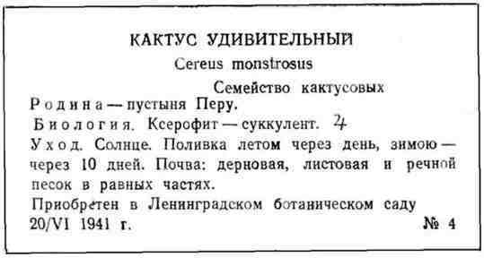 Путешествие с домашними растениями - pic_35.jpg