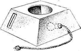 Путешествие с домашними растениями - pic_268.jpg