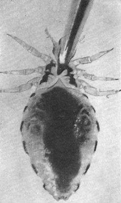 Драматическая медицина. Опыты врачей на себе (с ориг. илл.) - i_020.png