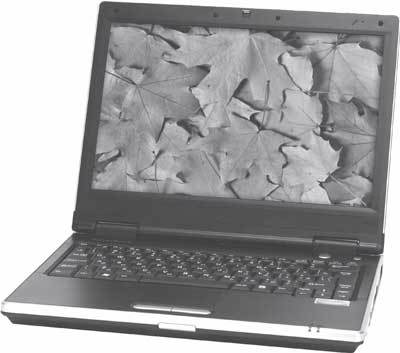 Ноутбук: секреты эффективного использования - i_018.jpg