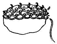 Волшебная игла - i_018.png