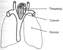 Управление голосом - i_005.jpg