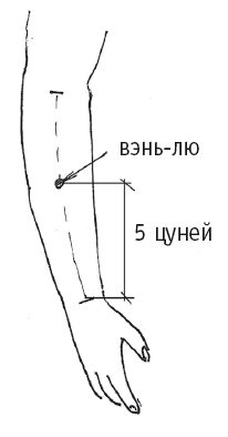 Атлас целительных точек. Печень, почки, желудок - i_016.png