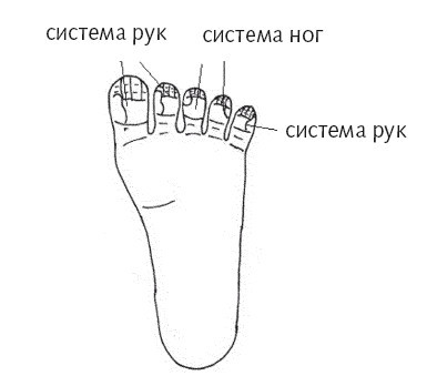 Су-джок. Целительные точки нашего тела. Просто и действенно - i_025.jpg