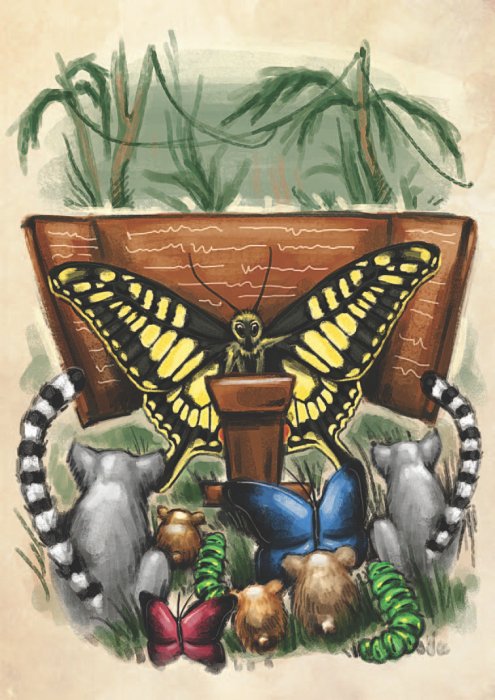 Остров Дадо. Суеверная Демократия - _img_05.jpg