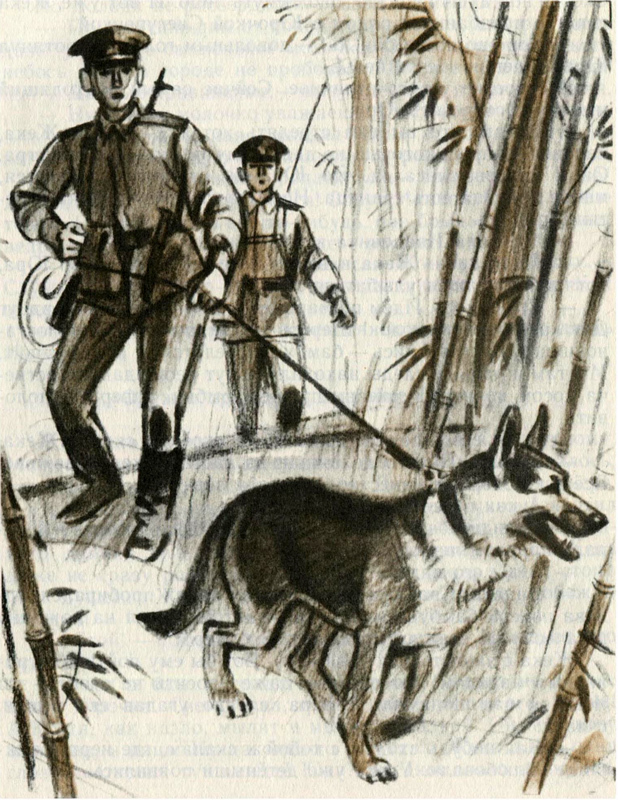 Одно лето на краю света - i_009.jpg