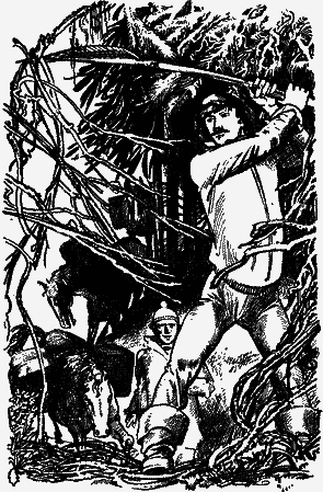 По медвежьему следу - nonjpegpng__12.png