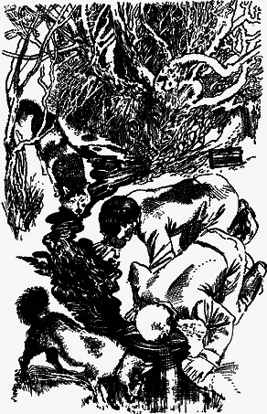 По медвежьему следу - nonjpegpng__18.png