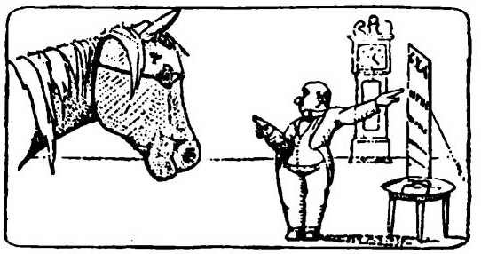 Доктор Дулитл и его звери - i_006.jpg