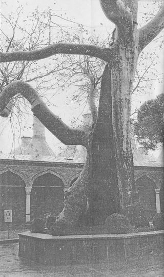 Новий рік у Стамбулі - i_001.jpg