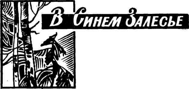 Корень рода - img_2.jpeg