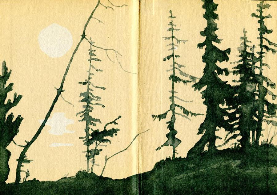 Сить — таинственная река - img_1.jpeg