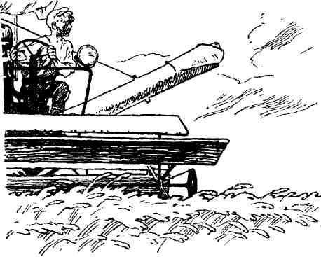 Сить — таинственная река - img_12.jpeg