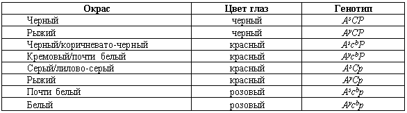 Генетика окрасов собак - i_002.png