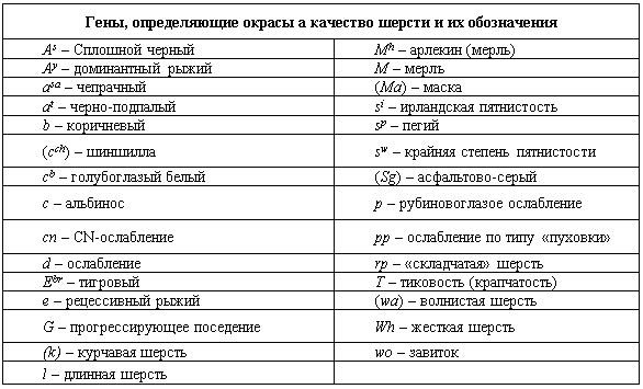 Генетика окрасов собак - i_004.png