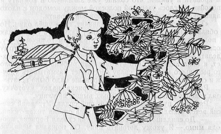 Первая Вечерняя Звезда - pic_4.jpg