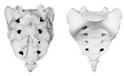 Избавься от боли. Боль в области сердца - i_003.jpg