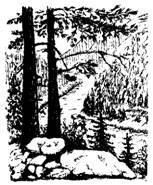 Куда пропали снегири? - _27.jpg