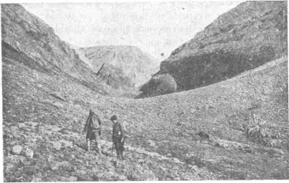 Три года за полярным кругом - img_7.jpeg