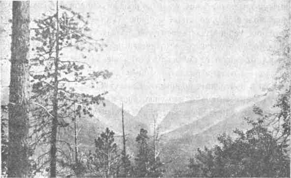 Три года за полярным кругом - img_8.jpeg