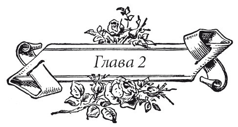 Венецианский контракт - i_006.jpg