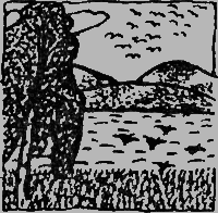 Великан Арчибальд - img14.png