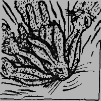 Великан Арчибальд - img29.png