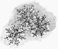 Юбилей Деда Мороза - i_005.jpg