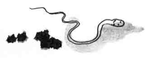 Около музыки - i_002.jpg