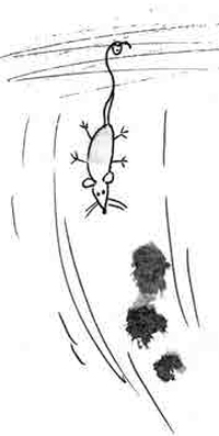 Около музыки - i_003.jpg