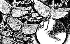 Виновато Солнце - _23.jpg