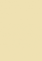 Файл №302. Операция «Скрепка» - автор Измайлов Андрей 