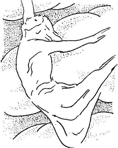 Энциклопедия славянской культуры, письменности и мифологии - i_322.jpg