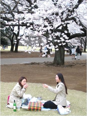 Обратная сторона Японии - _40.jpg