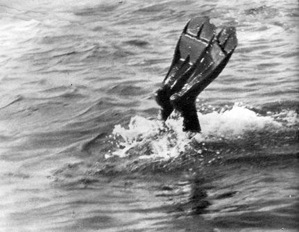 Тропами подводными - i_004.jpg