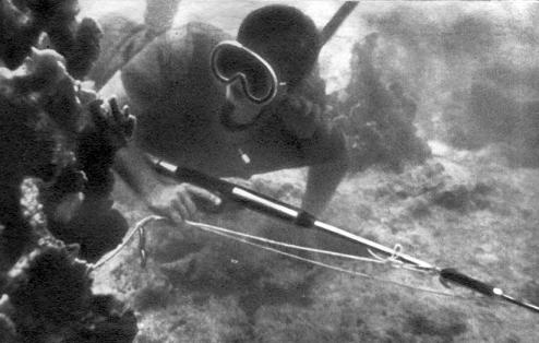 Тропами подводными - i_012.jpg