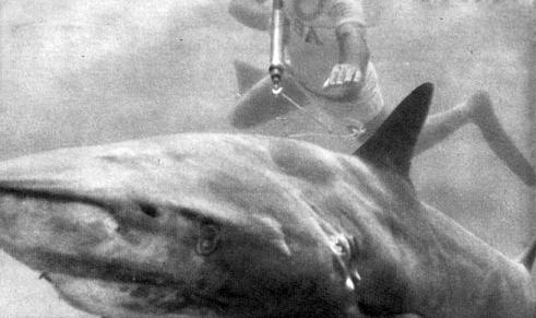 Тропами подводными - i_014.jpg