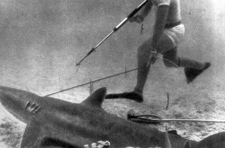 Тропами подводными - i_017.jpg