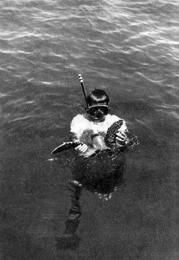 Тропами подводными - i_038.jpg