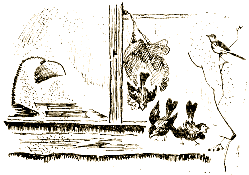 Важный разговор [Повести, рассказы] - i_012.png