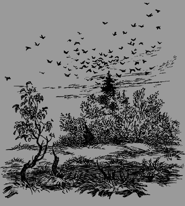 Дайте кошке слово - i_064.png