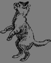 Дайте кошке слово - i_066.png