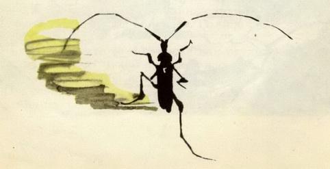 У меня дома пчела - img_13.jpeg