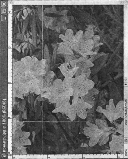 Photoshop CS2 и цифровая фотография (Самоучитель). Главы 10-14 - ris_10_2.jpg