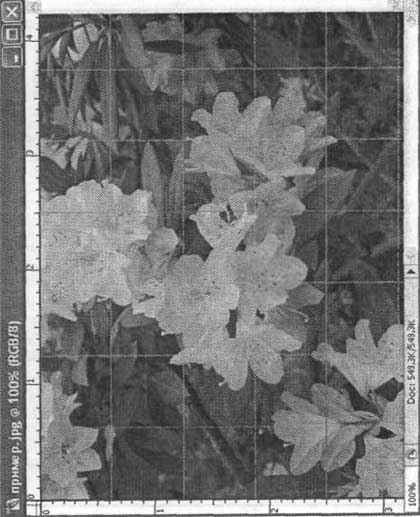 Photoshop CS2 и цифровая фотография (Самоучитель). Главы 10-14 - ris_10_3.jpg