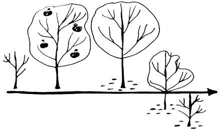 Сам себе финансист: Как тратить с умом и копить правильно - i_002.png