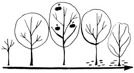 Сам себе финансист: Как тратить с умом и копить правильно - i_003.png