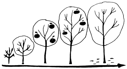 Сам себе финансист: Как тратить с умом и копить правильно - i_004.png