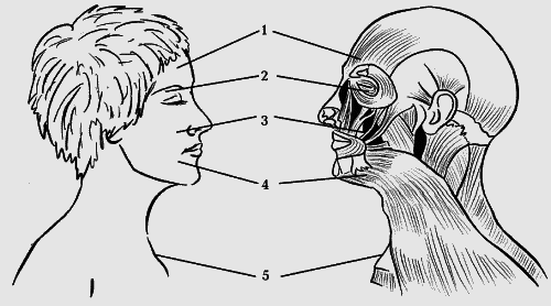 Красота по-рублевски - i_010.png