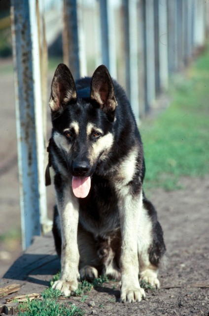 Побег из Рая - i_046.jpg